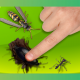 از بین بردن حشرات